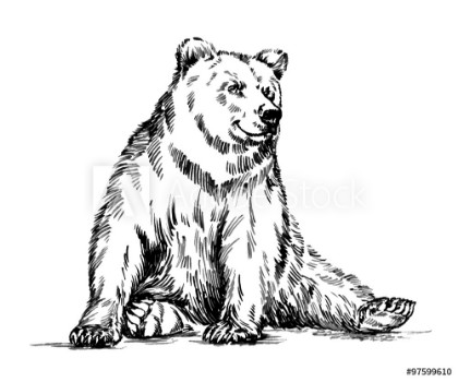 Picture of black and white engrave isolated vector bear